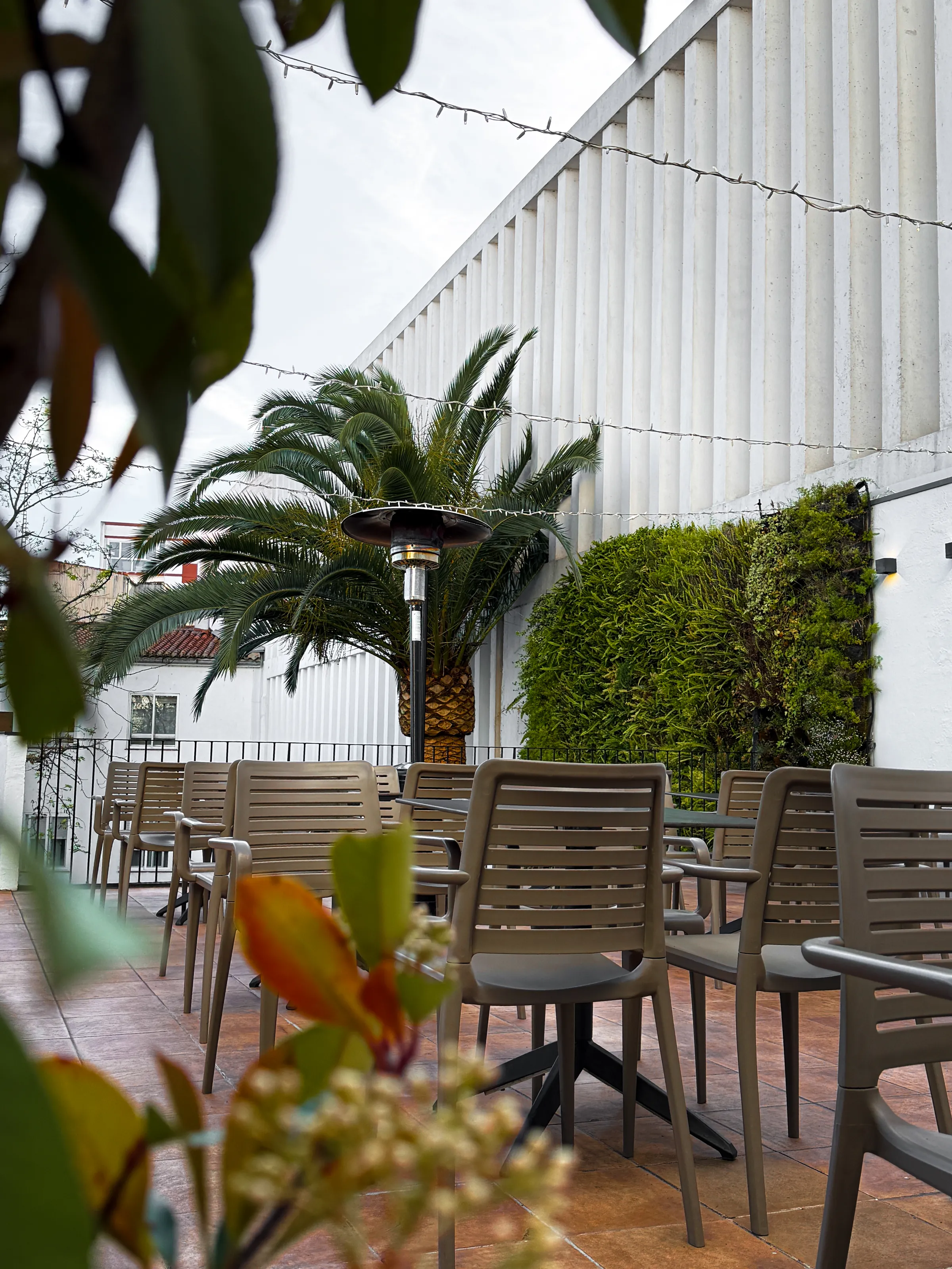 Jardín y terraza de Caballerizas de noche